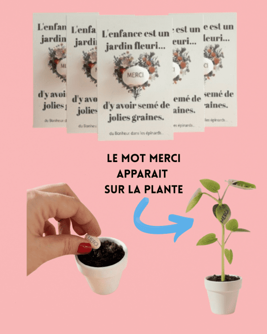 LOT DE 5 CARTES GRAINES MAGIQUES - FIN D'ANNEE SCOLAIRE - MERCI 