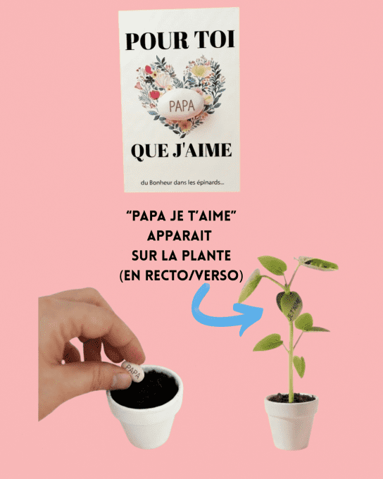CARTE - GRAINE MAGIQUE - PAPA JE T'AIME 