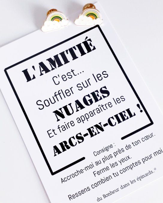 CARTE L'AMITIE C'EST SOUFFLER + 2 BROCHES ARC EN CIEL - S09