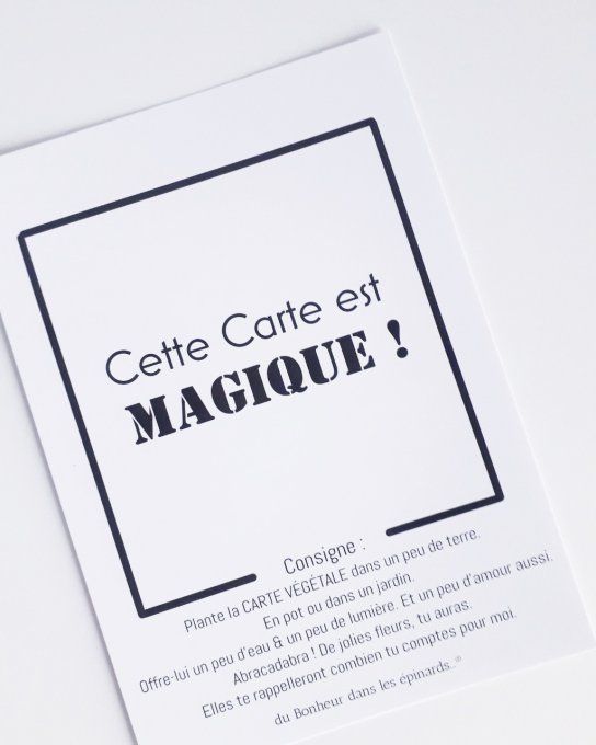 CARTE MAGIQUE A PLANTER - JOYEUX JOUR DE TOI - N11