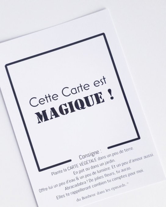 CARTE MAGIQUE A PLANTER - MAMAN - MESSAGE AU CHOIX - 
