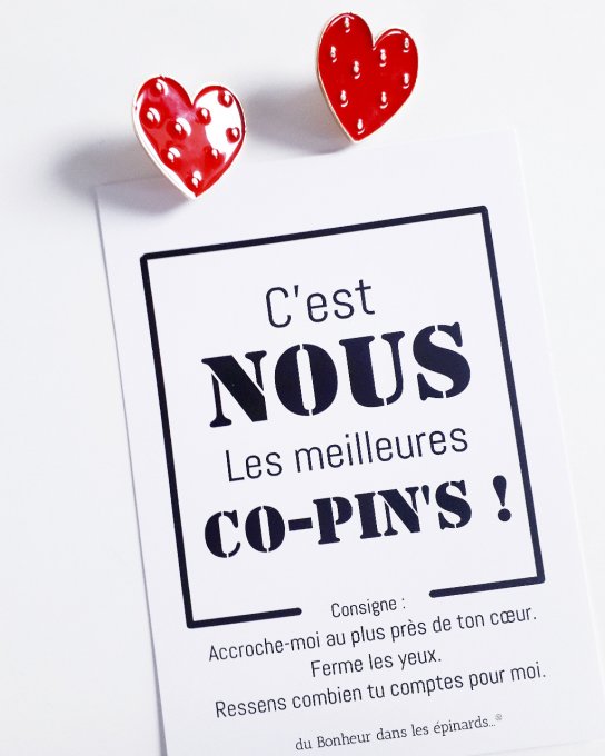 CARTE AMITIE + 2 BROCHES COEURS EMAILLEES - S10