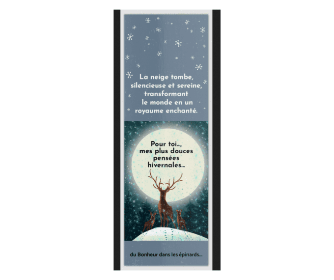 MARQUE - PAGE "DOUCES PENSEES HIVERNALES" - A19 