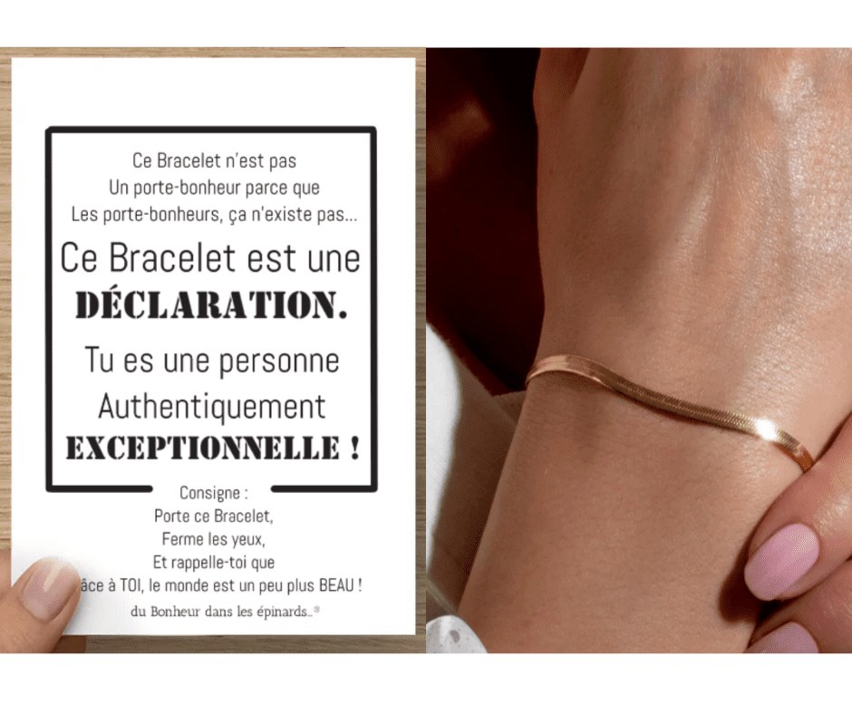 CARTE PERSONNE EXCEPTIONNELLE + 1 BRACELET SERPENTINE -  R44