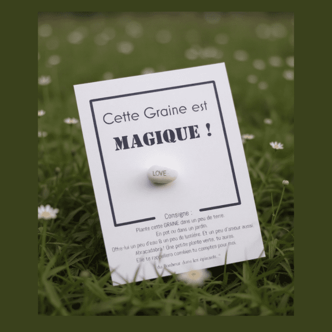 GRAINE D'AMOUR MAGIQUE -N03