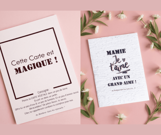 CARTE MAGIQUE A PLANTER - AVEC UN GRAND AIME - N19