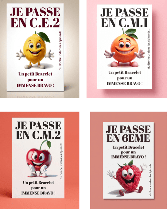 CARTE + LE BRACELET DE REUSSITE - IMPERDABLE - MULTICOLORE