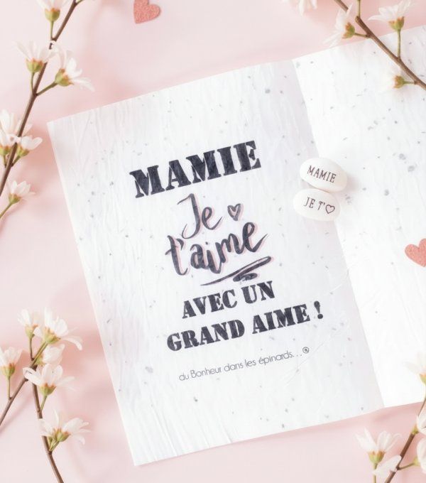 DUO MAGIQUE CARTE A PLANTER + GRAINE A PLANTER - F23