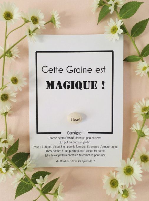 GRAINE D'AMOUR MAGIQUE -N03