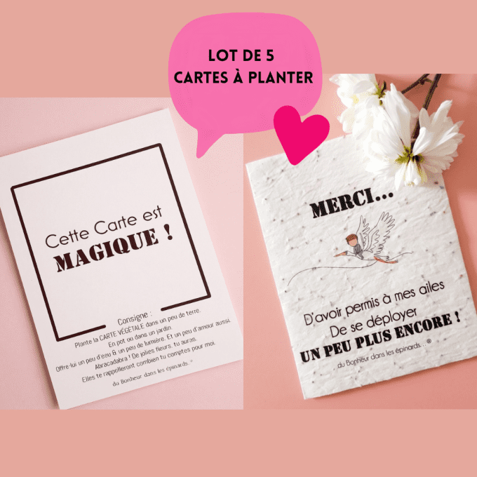 LOT DE 5 CARTES A PLANTER - MES AILES