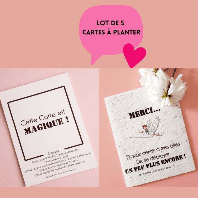 LOT DE 5 CARTES A PLANTER - MES AILES