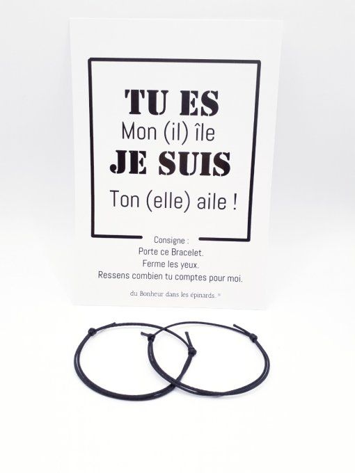 CARTE  ILE & AILE+ 2 BRACELETS (14 coloris au choix)  - R16
