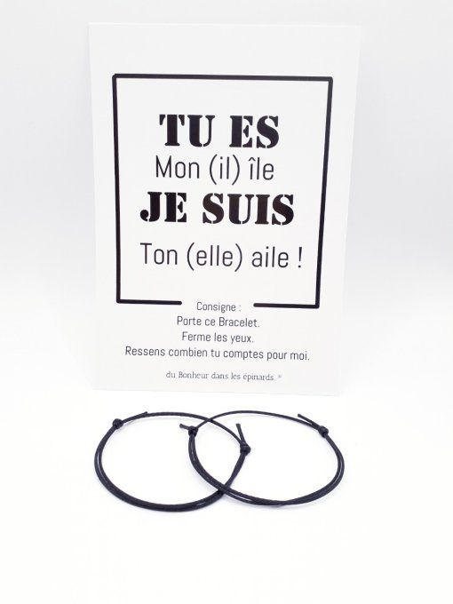 CARTE  ILE & AILE+ 2 BRACELETS PERMANENTS - R16